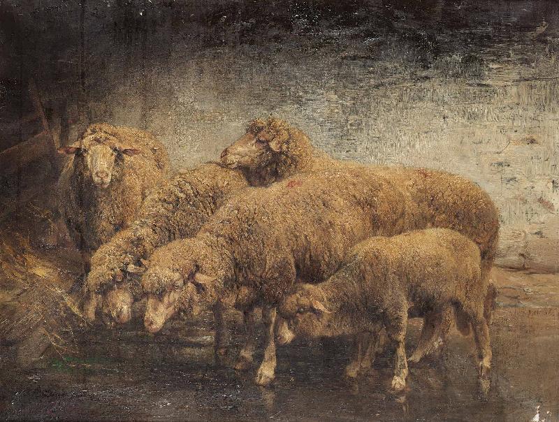 Heinrich von Angeli Sheep in a barn oil painting image